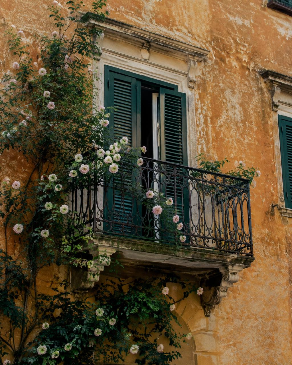Ochre facade with green shutters